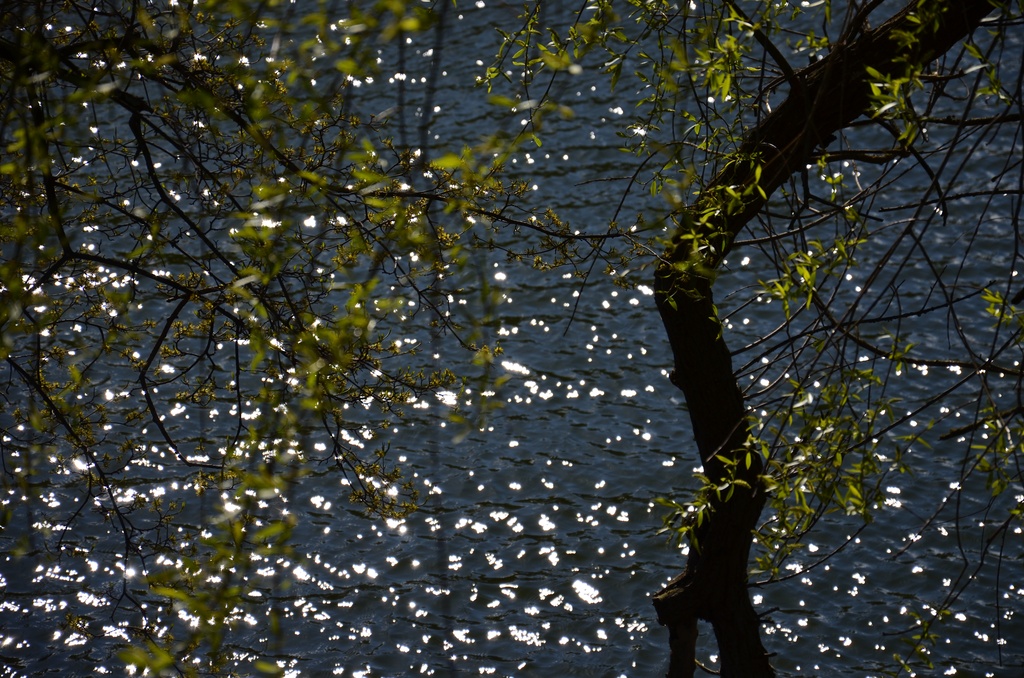 2017-04 Copenhagen/Kastellet/DSC_0293.JPG